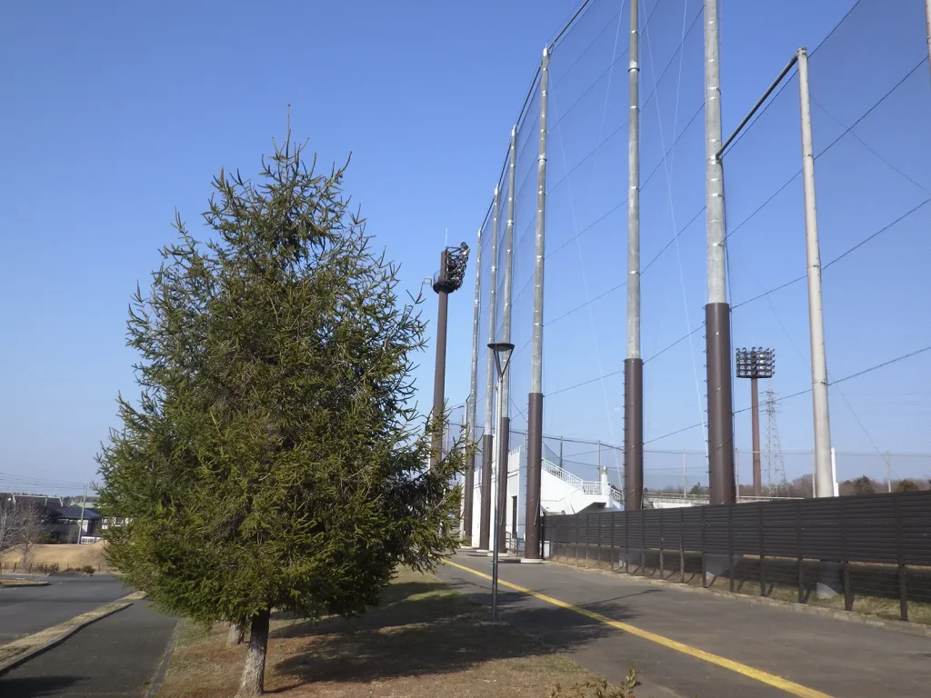 令和5年度たつのこスタジアム防球ネット改修工事-2